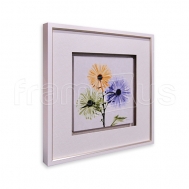 1AK5-SQ-045A Multi Chrysanthemum / LUX 2006