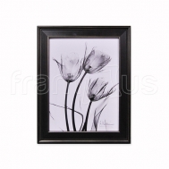 7AK-RC-118 Tulip Arrangement in BandW