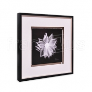 1AK-SQ-166A Rose Petals 1 / LUX 2006