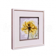 1AK5-SQ-359F Rose in Gold 4 / LUX 2006